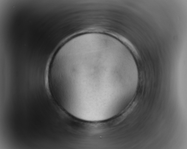 X0000087611288200705181248