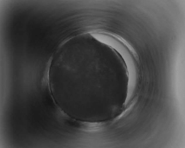 X0000087611289200705181248