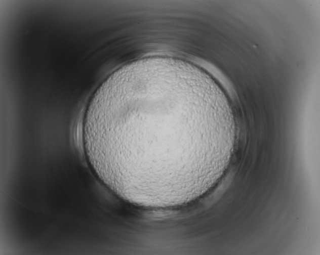 X0000087611290200705181248