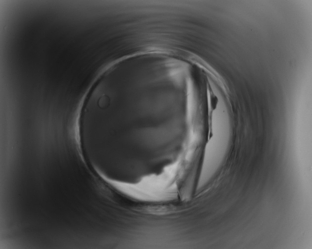 X0000087611291200705181248