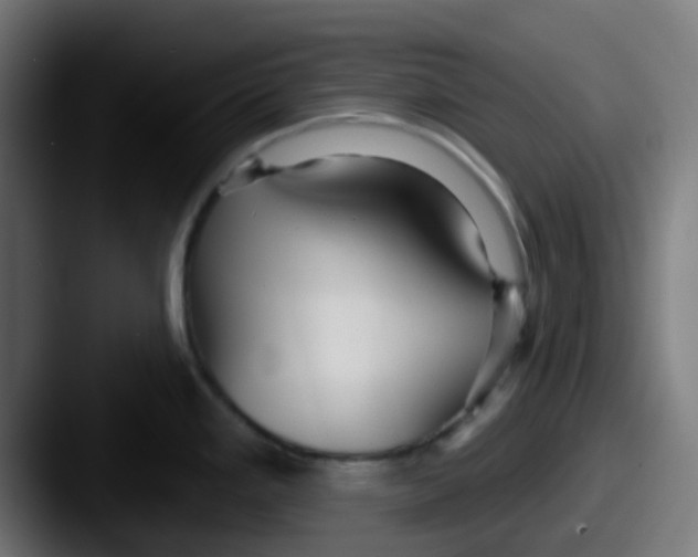 X0000087611293200705181248