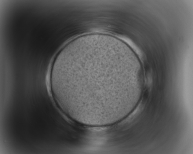 X0000087611294200705181248