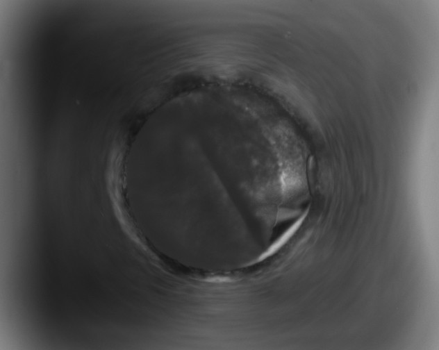 X0000087611297200705181248