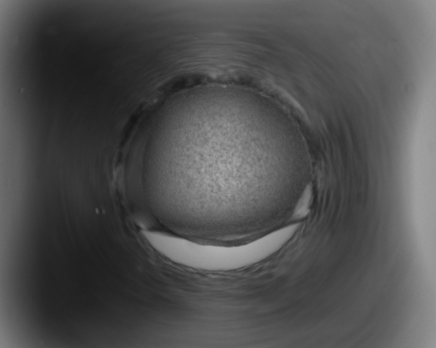 X0000087611298200705181248