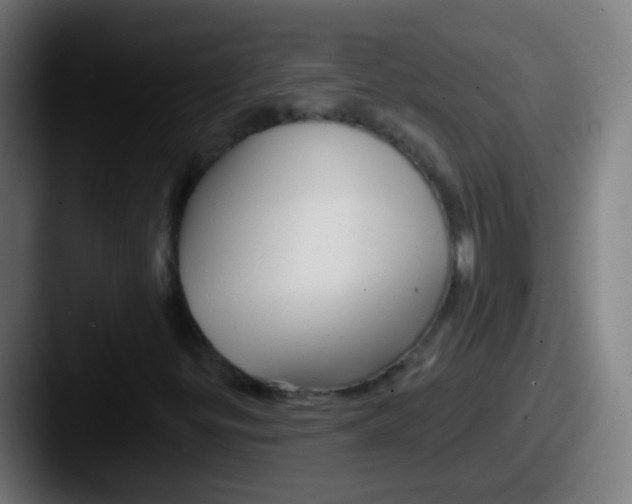 X0000087611299200705181248