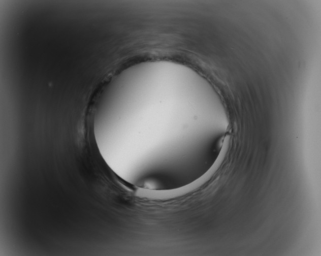 X0000087611300200705181248