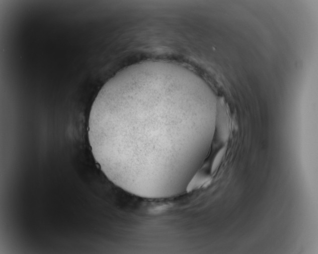 X0000087611301200705181248
