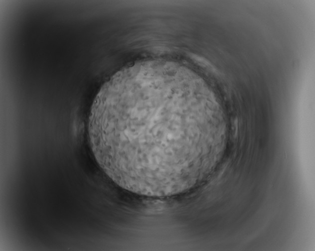 X0000087611302200705181248