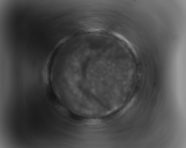 X0000087611306200705181248