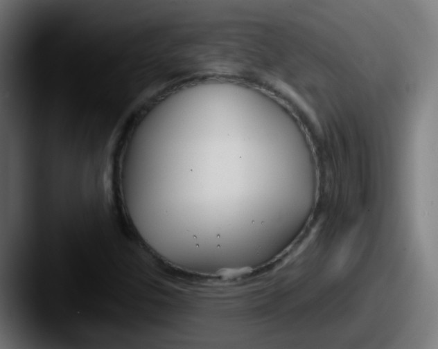 X0000087611307200705181248