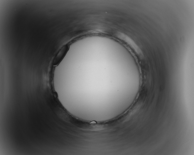 X0000087611308200705181248