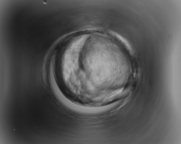 X0000087611310200705181248
