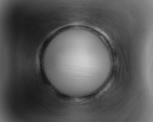 X0000087611311200705181248