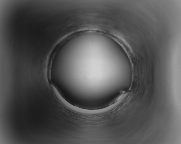 X0000087611312200705181248