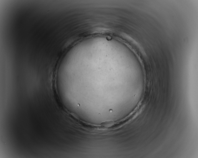 X0000087611313200705181248