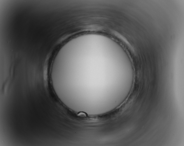 X0000087611315200705181248
