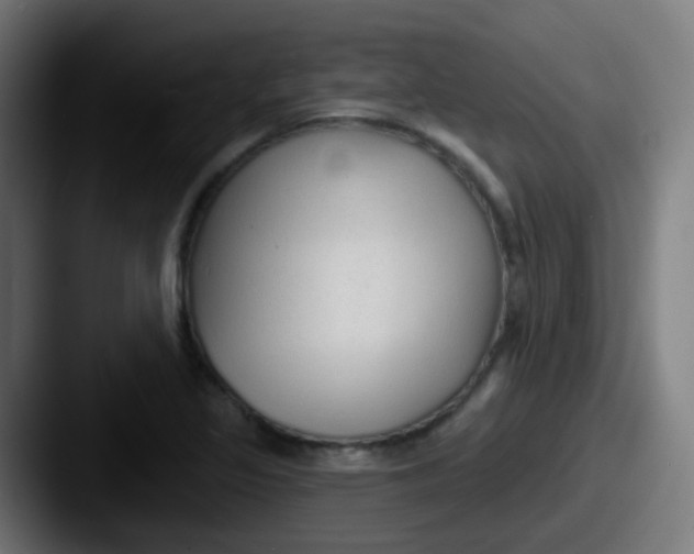 X0000087611317200705181248