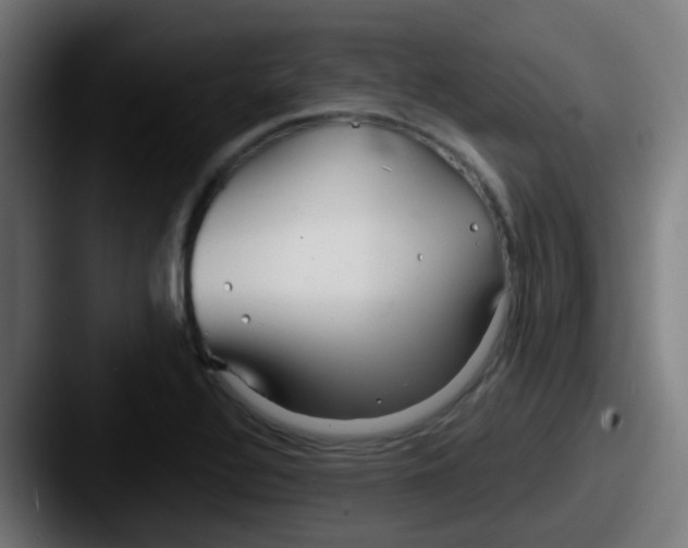 X0000087611320200705181248