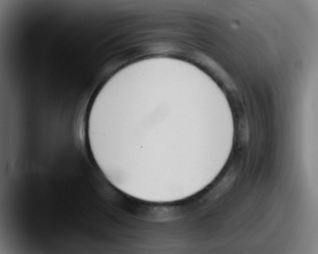 X0000087611322200705181248