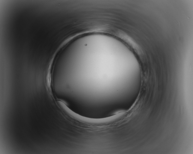 X0000087611324200705181248