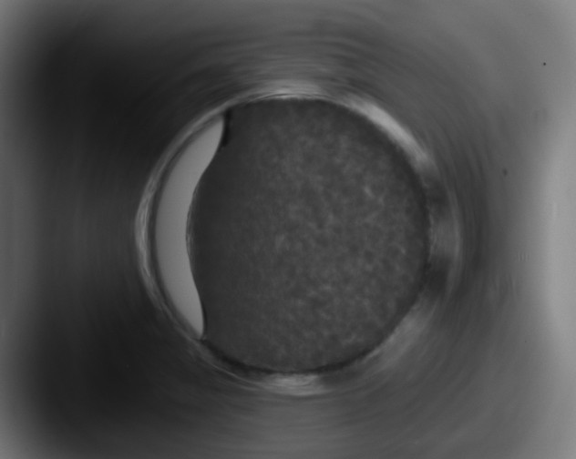 X0000087611325200705181248