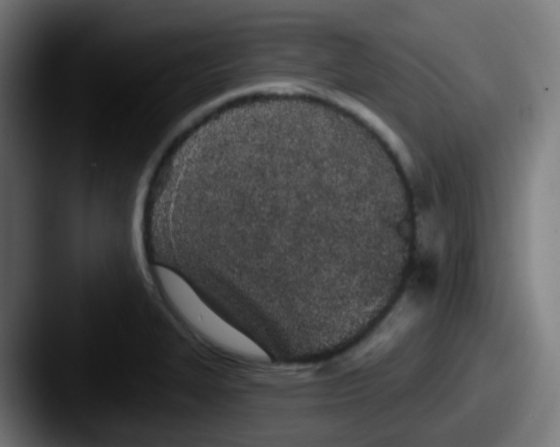 X0000087611327200705181248
