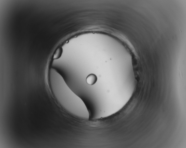 X0000087611328200705181248