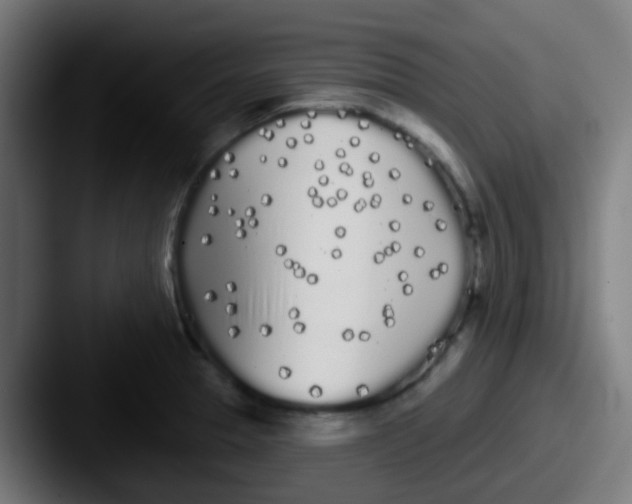 X0000087611329200705181248