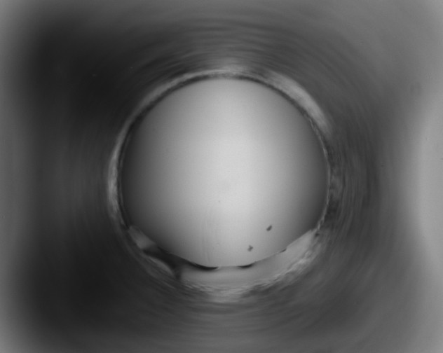 X0000087611332200705181248