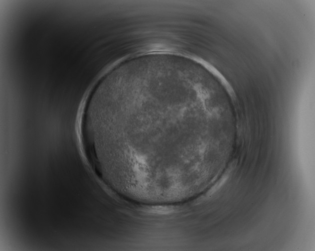 X0000087611333200705181248