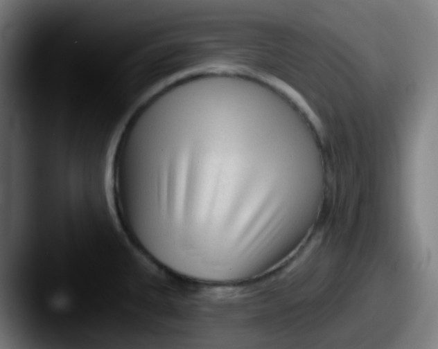X0000087611335200705181248