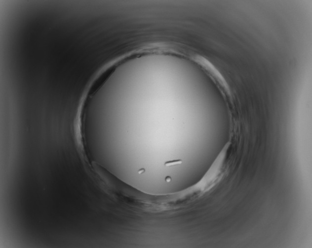 X0000087611336200705181248