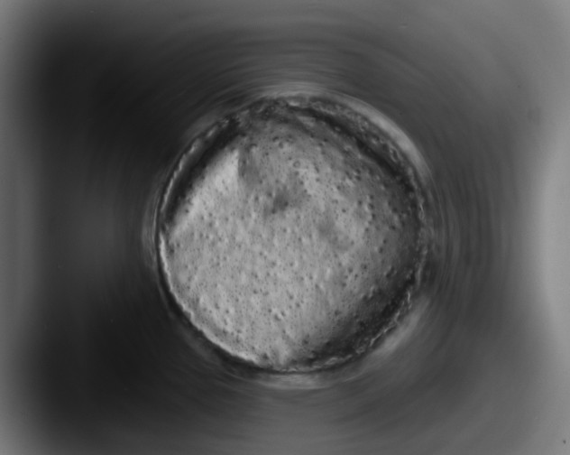 X0000087611337200705181248