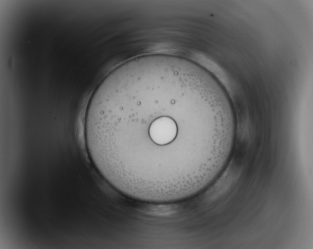 X0000087611338200705181248