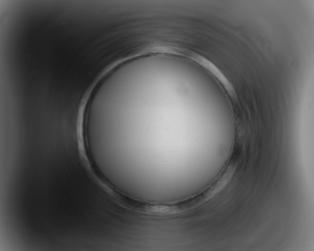 X0000087611339200705181248