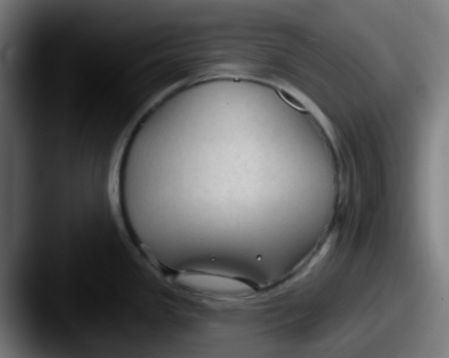 X0000087611341200705181248