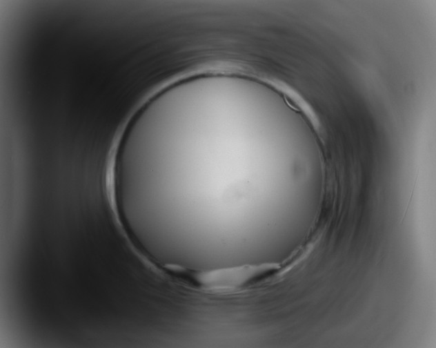 X0000087611343200705181248