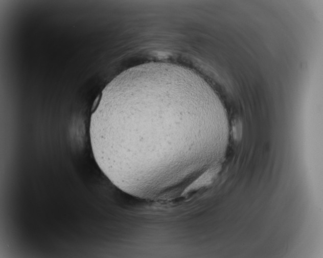 X0000087611347200705181248