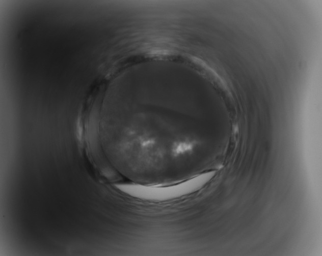 X0000087611348200705181248