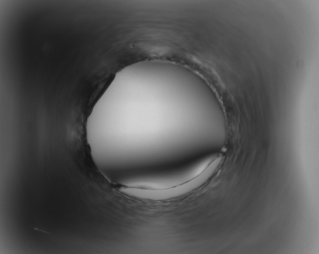 X0000087611349200705181248