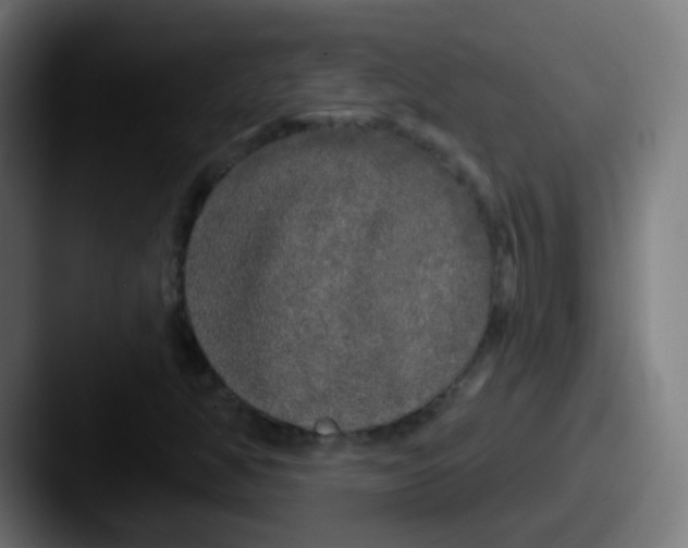 X0000087611350200705181248