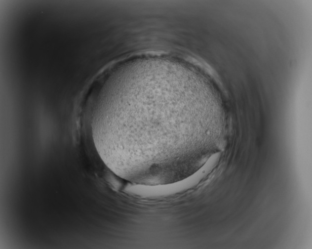 X0000087611352200705181248