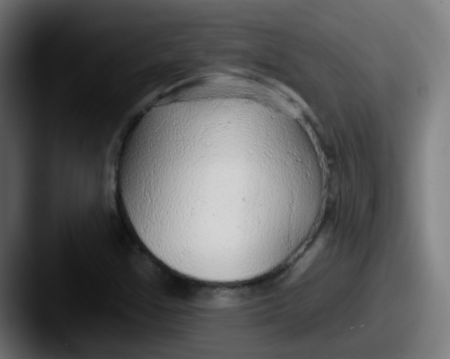 X0000087611355200705181248