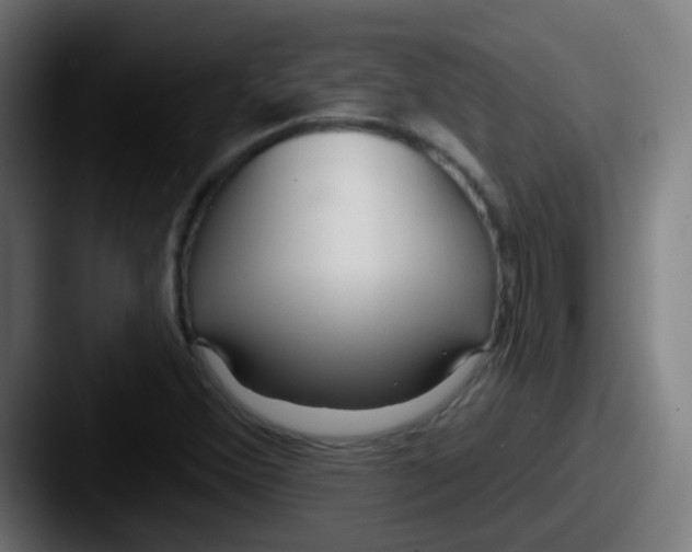 X0000087611356200705181248