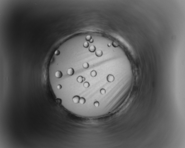X0000087611358200705181248