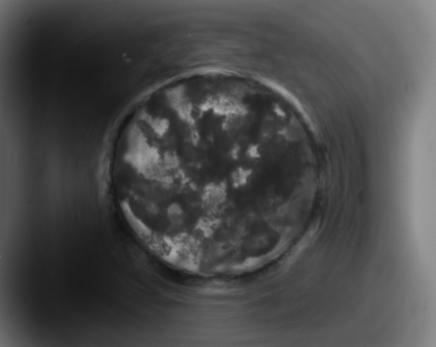 X0000087611359200705181248