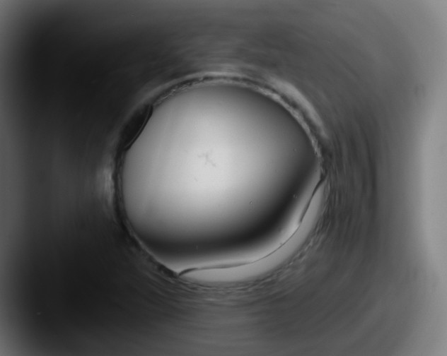 X0000087611360200705181248