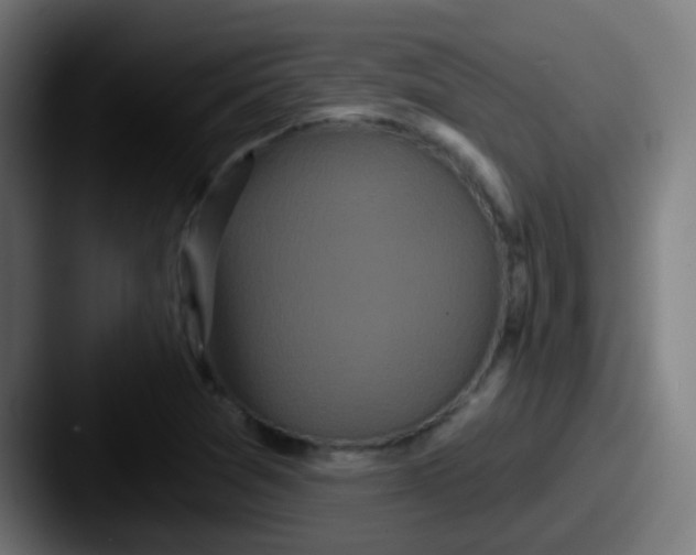 X0000087611361200705181247