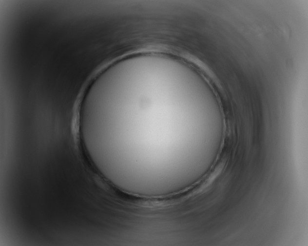 X0000087611366200705181247