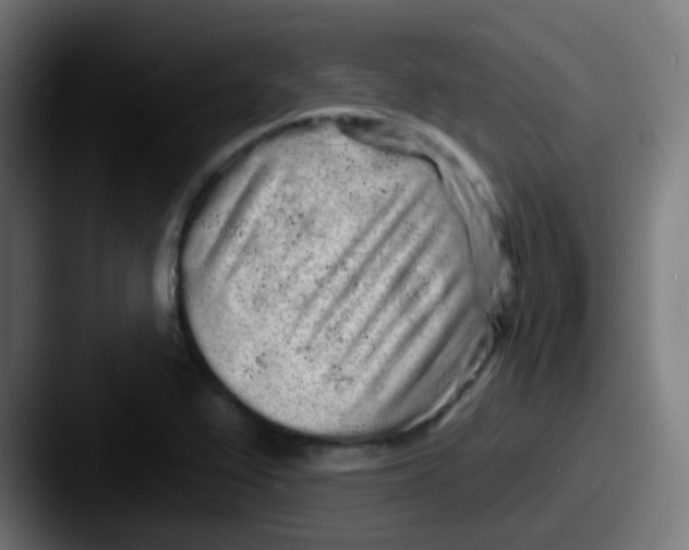 X0000087611367200705181247